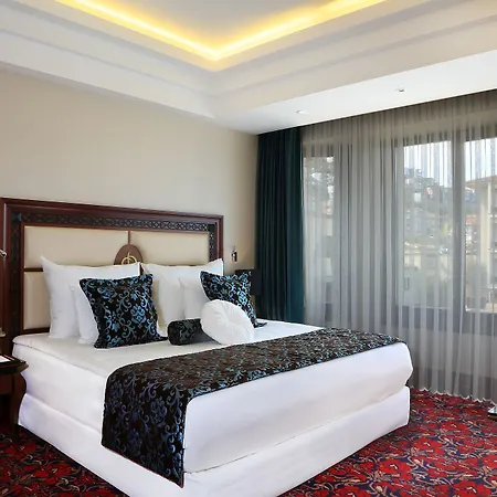 Hotel Blue Diamond Ataturk Palace *